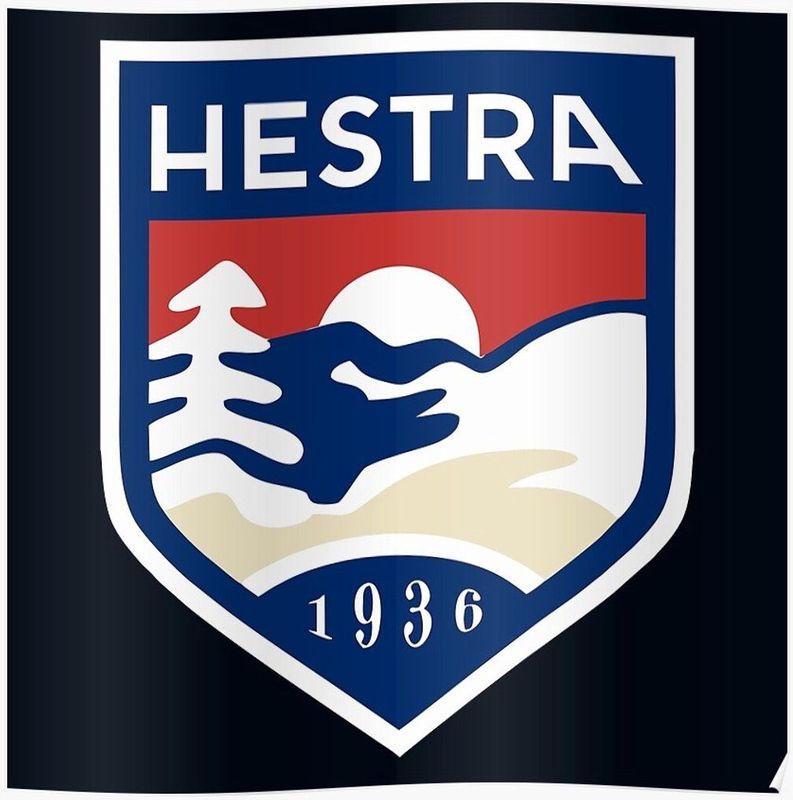 Hestra Wakayama 5 finger 3000660 710750 8 9