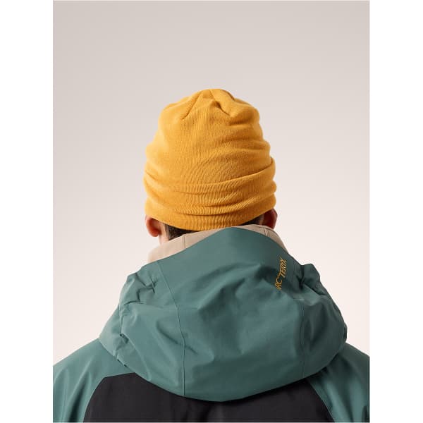 Bonnet ski ARC'TERYX BIRD WORD TOQUE YUKON/RELIC