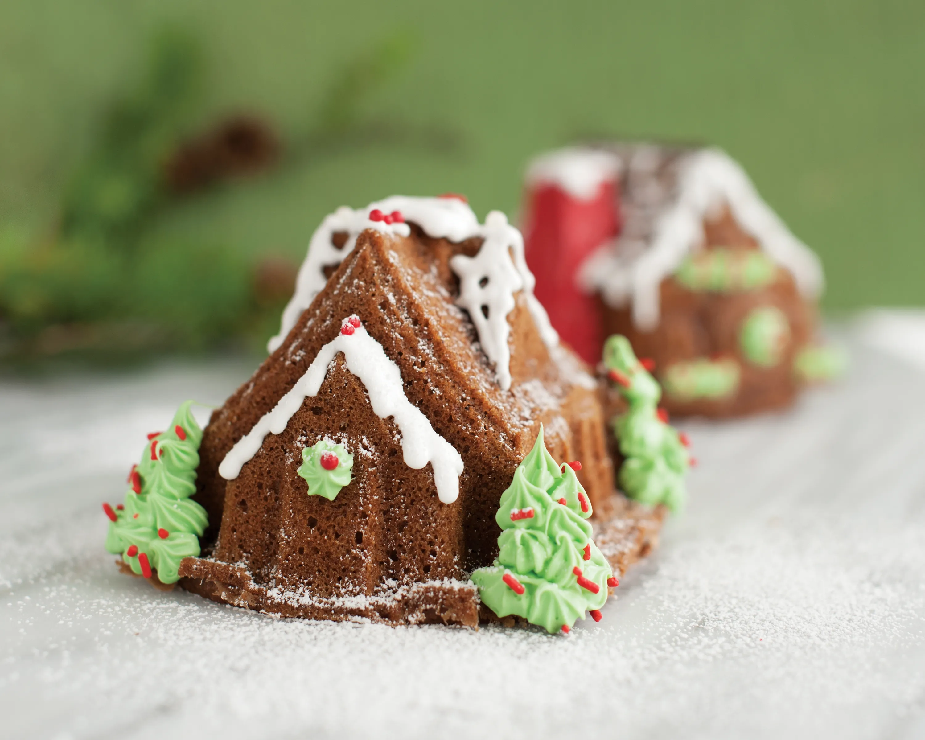 Nordic Ware Gingerbread House Duet Bageform