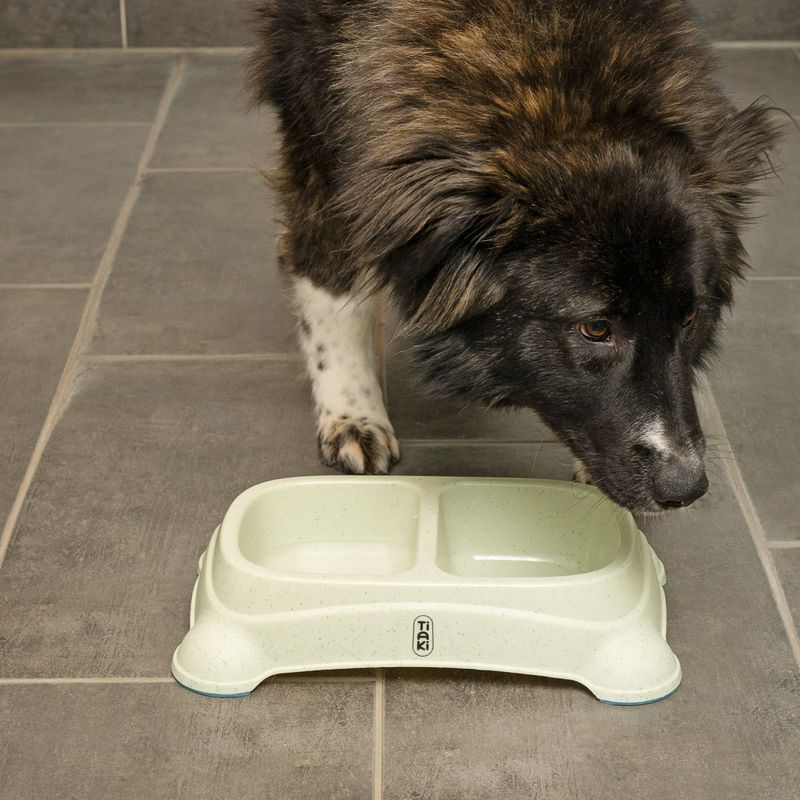 Gamelle double TIAKI pour chien et chat