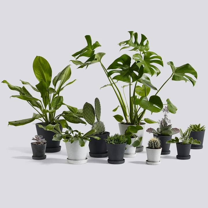 HAY - Blumentopf mit Untersetzer XL, schwarz