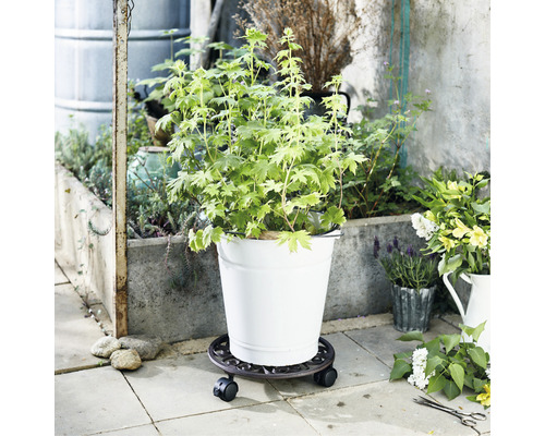 Wagner antieke gietijzeren plantenwagen Ø 29 cm TK 50 kg