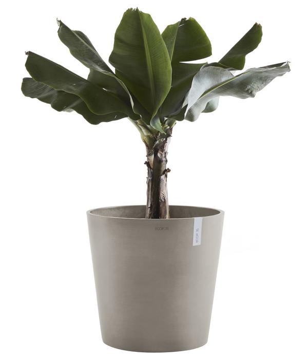 Ecopots Kunststoff-Topf Amsterdam mit