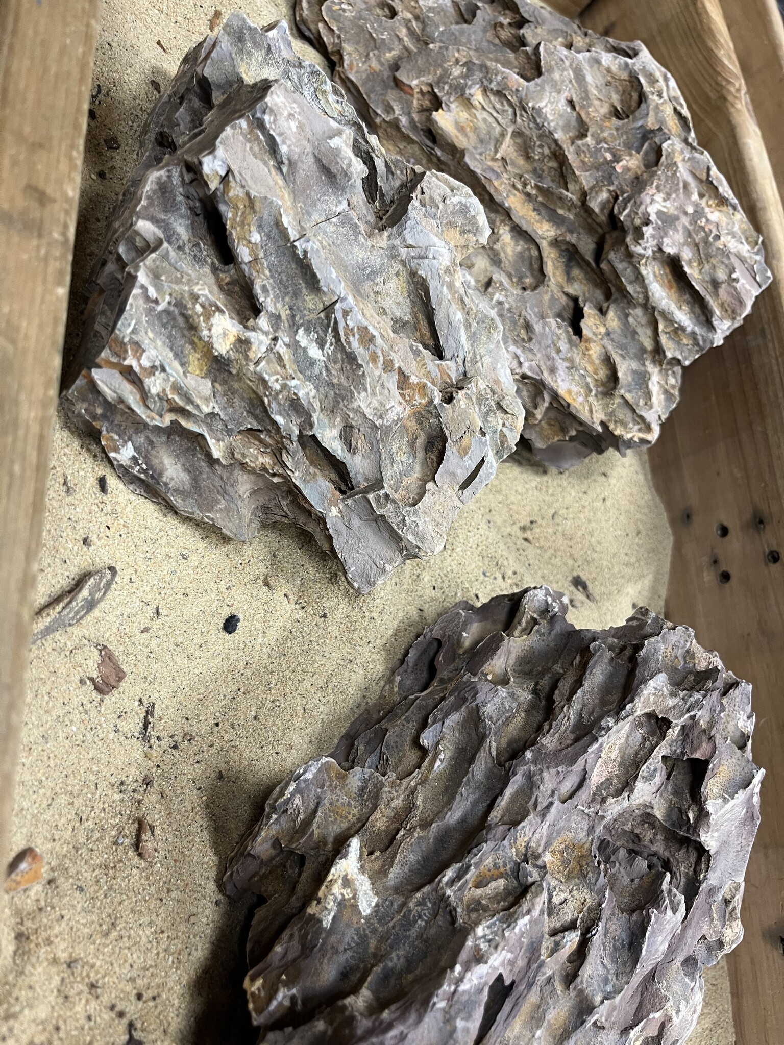 AQXL selected A Steenbundel Dragon Rock bruin 3 stuks | Hardscaping