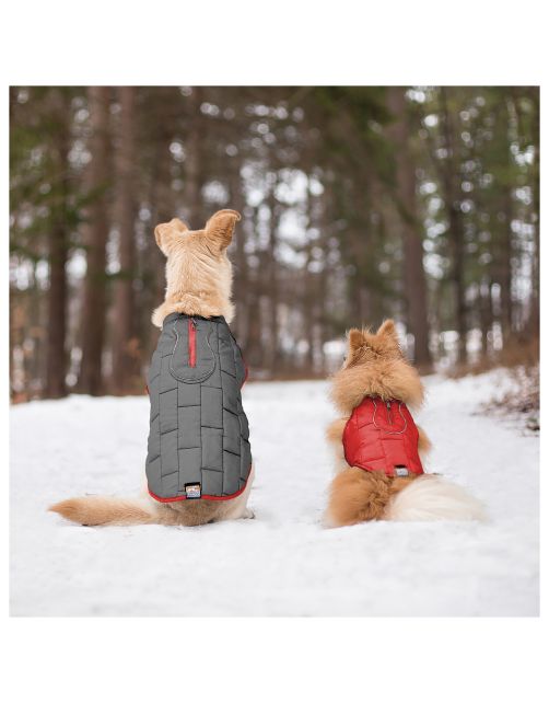 Kurgo Loft Jacket Rood&Antraciet - Hondenjas