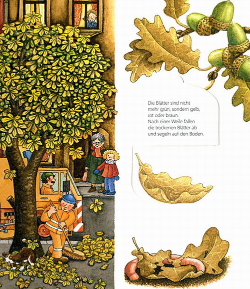Die Jahreszeiten / Wieso? Weshalb? Warum? Junior Bd.10