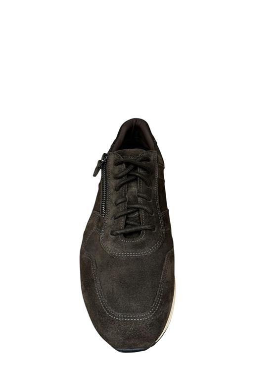 Greve 4299.30 2930 Quinoa suede