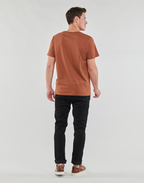 Pepe jeans - EDWARD TEE - Marron