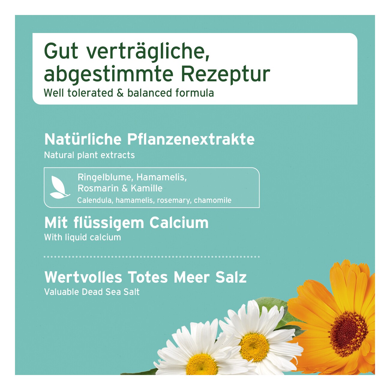 AniForte Dentalspray Zahnpflege Spray 100ml