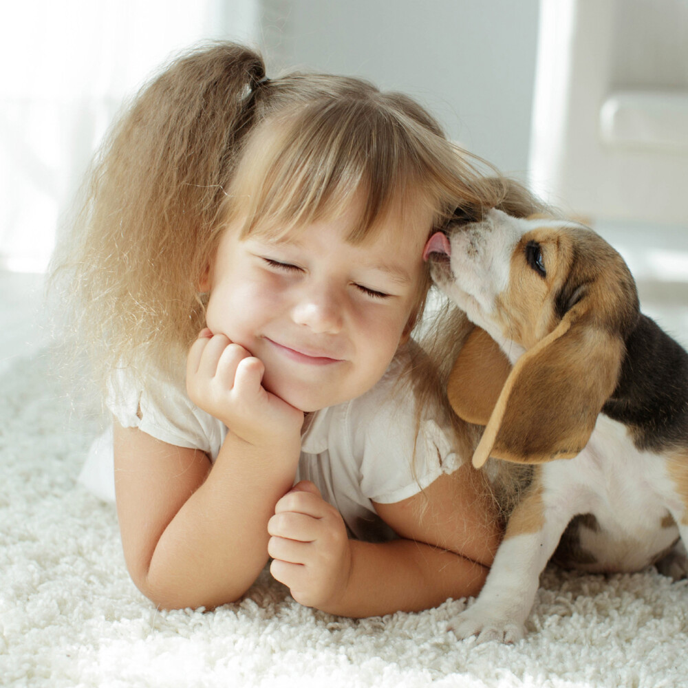 Beaphar Fiprotec Anti Vlooien en Teken Spray Hond en Kat100 ml