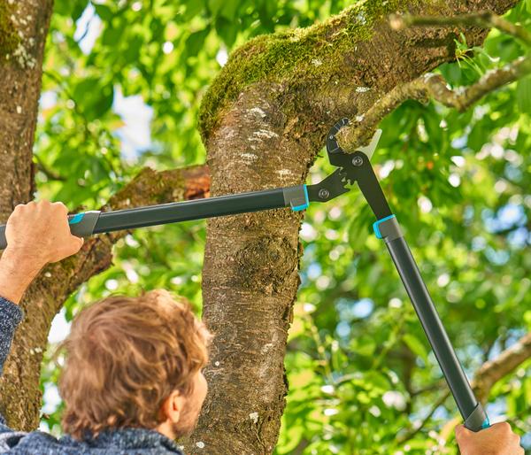 GARDENA Astschere EnergyCut Pro L Amboss