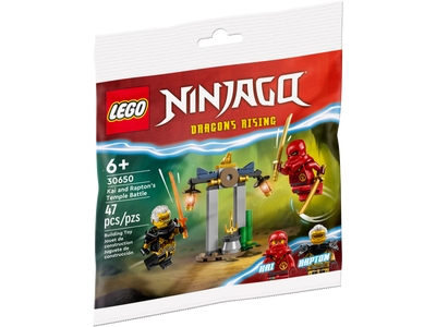 LEGO Toernooi trainingsveld (30675)