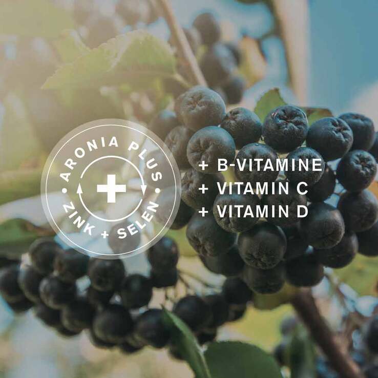 Aronia + Pro Immun direkt Direktgranulat Sticks, 30 St