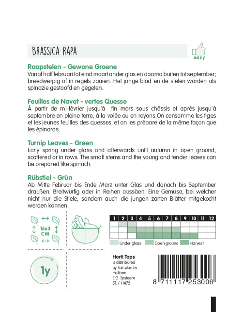 Hortitops Raapstelen Groene - Groentezaden - 10 g