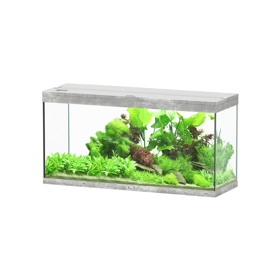 Aquarium équipé Splendid Led 2.0 Béton L.120xP.40xH.61cm