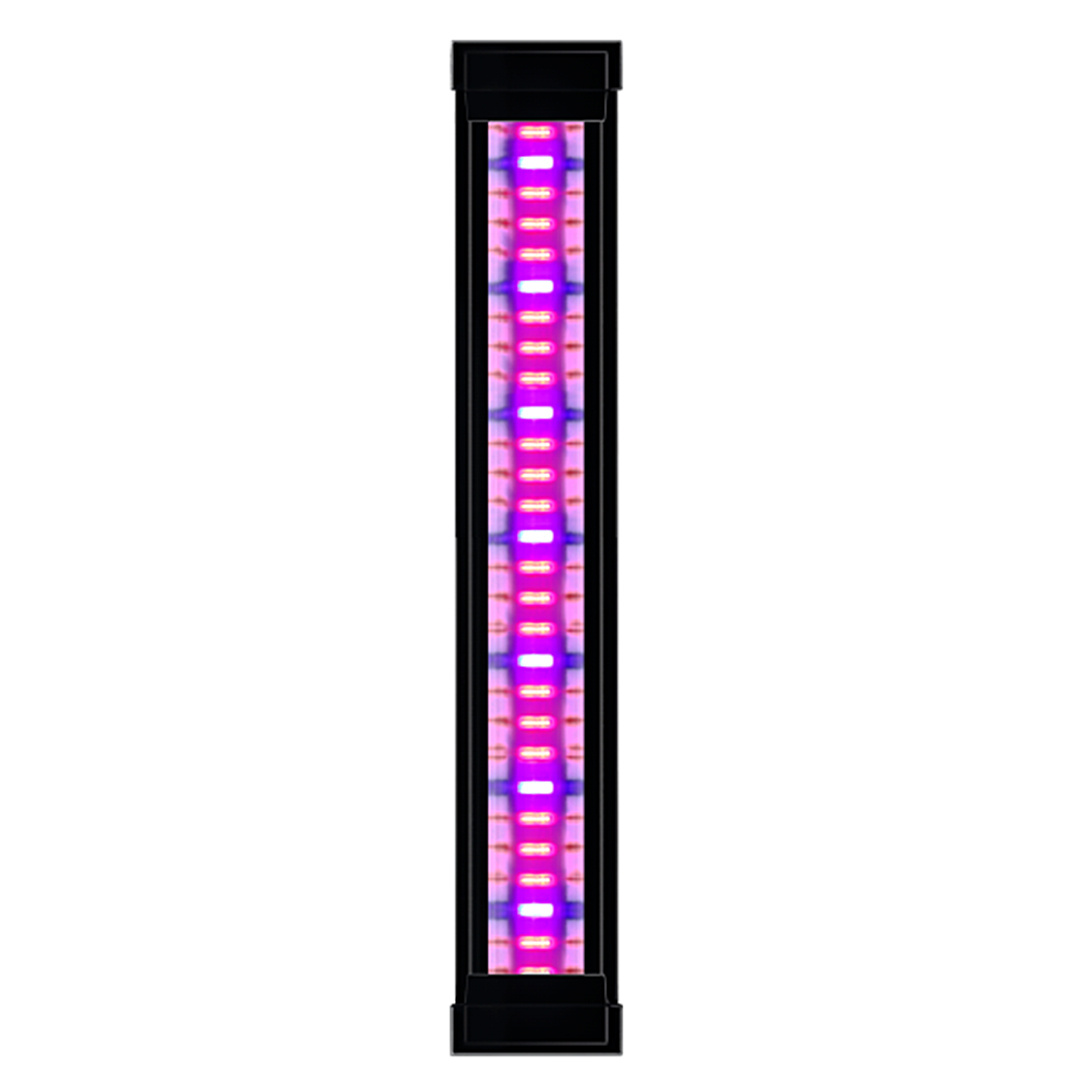 LED Plants Emotions CLE 40 Zwart