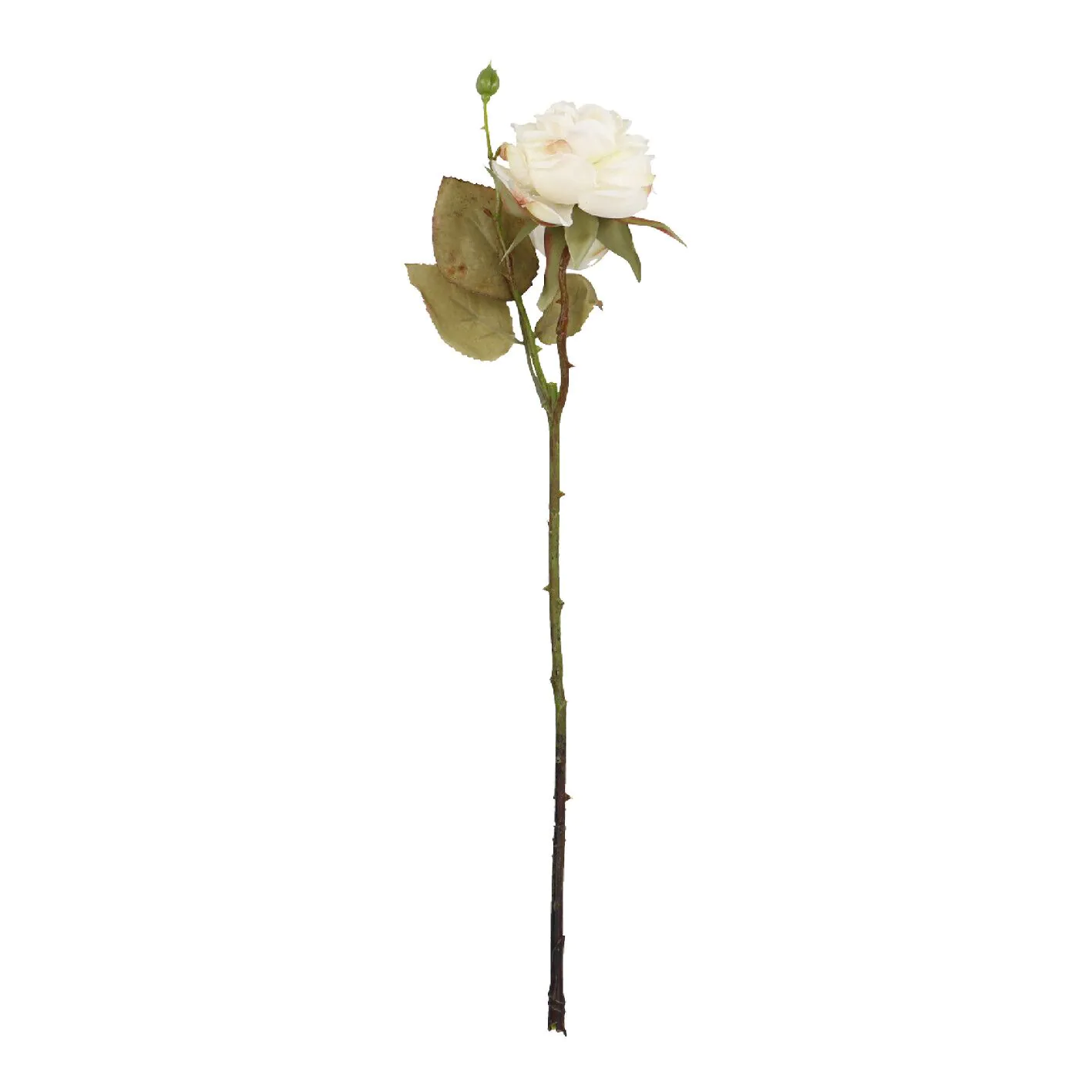Rose Mathilda, creme, 45 cm