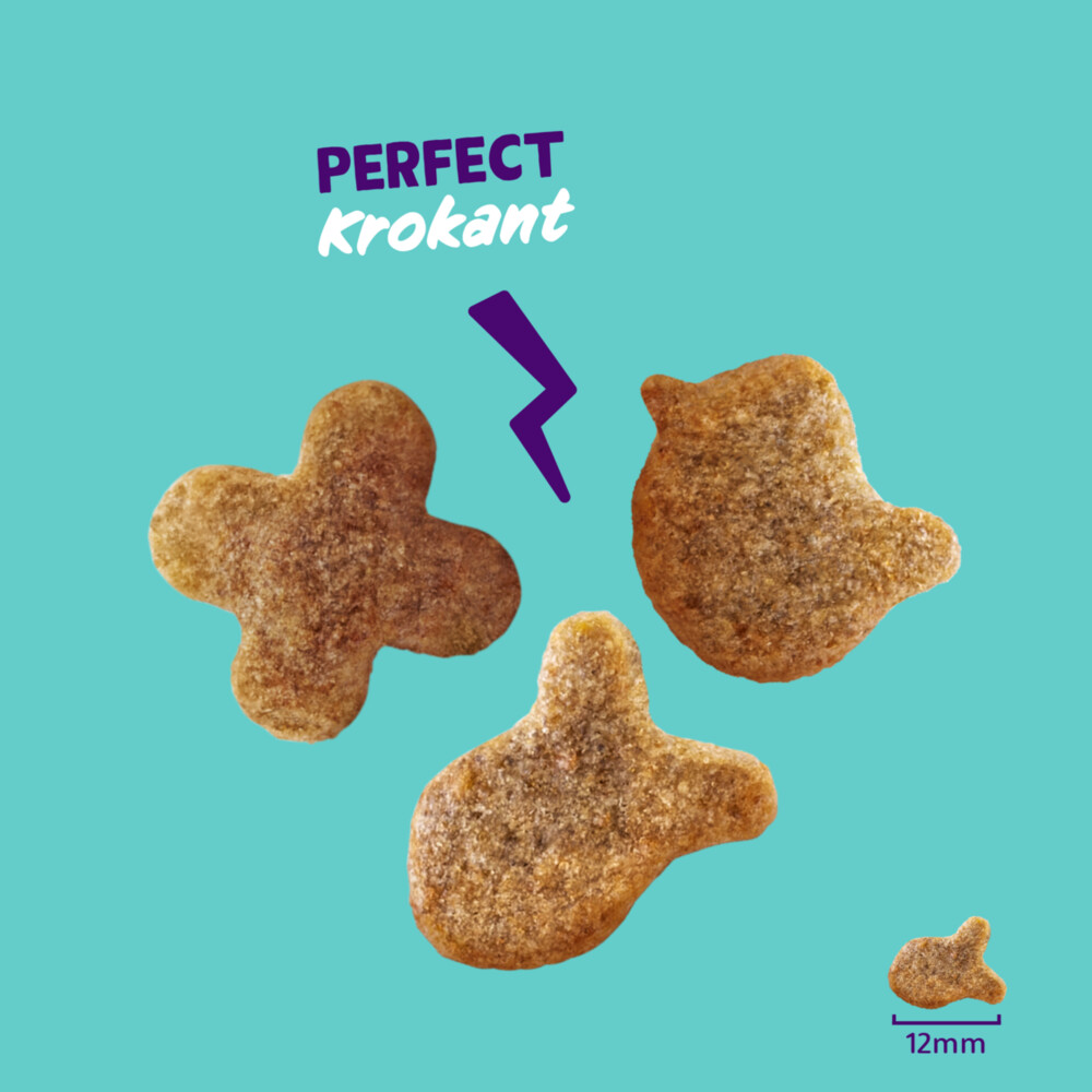 Edgard & Cooper Adult Crunchies Kattensnack Zalm50 gr