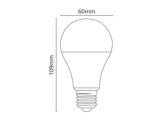 Ampoule LED classique 10W E27 12-24V 3000K