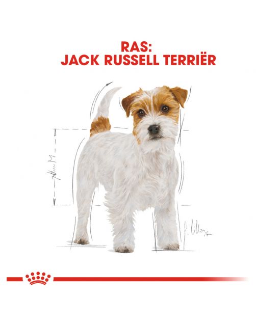 Royal Canin Jack Russell Terrier Adult - Hondenvoer