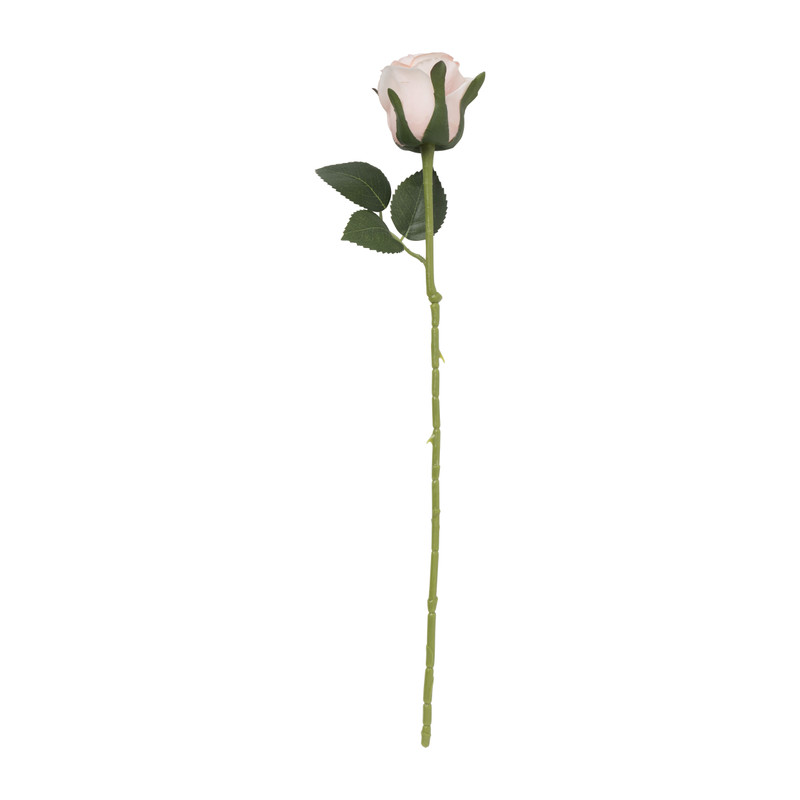Roos - diverse varianten - 50 cm