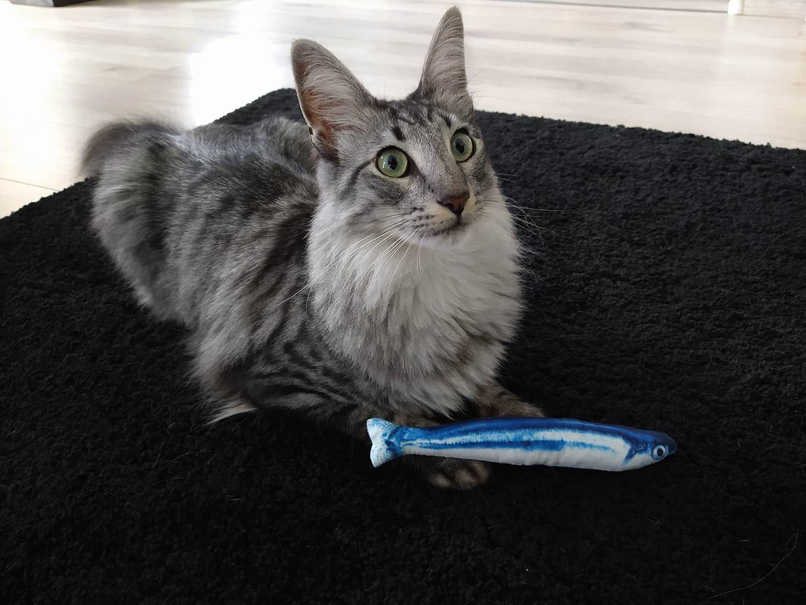 I love my cat Katzenspielzeug - Plüschfisch mit Katzenminze