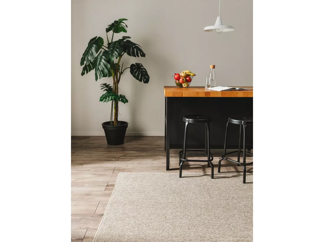 Tapis d'extérieur & intérieur Iowa Taupe 160x230 cm