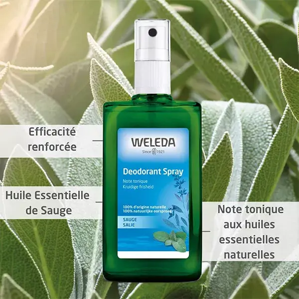 Desodorante orgânico Weleda Sage 100ml