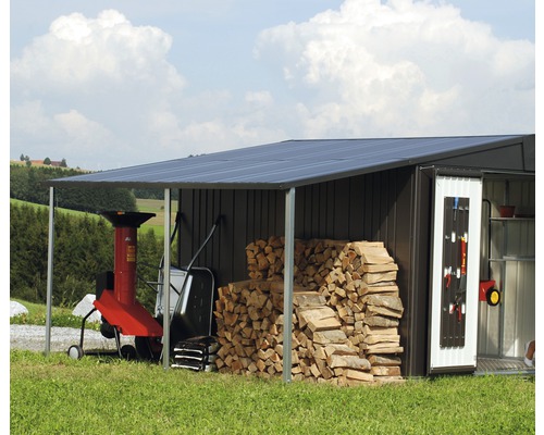 Zijdak voor Biohort tuinhuis Europa 2/3/4A 150 x 156 cm zilver-metallic