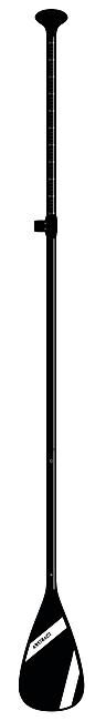 ABSTRACT - PAGAIE SUP 3 PARTIES