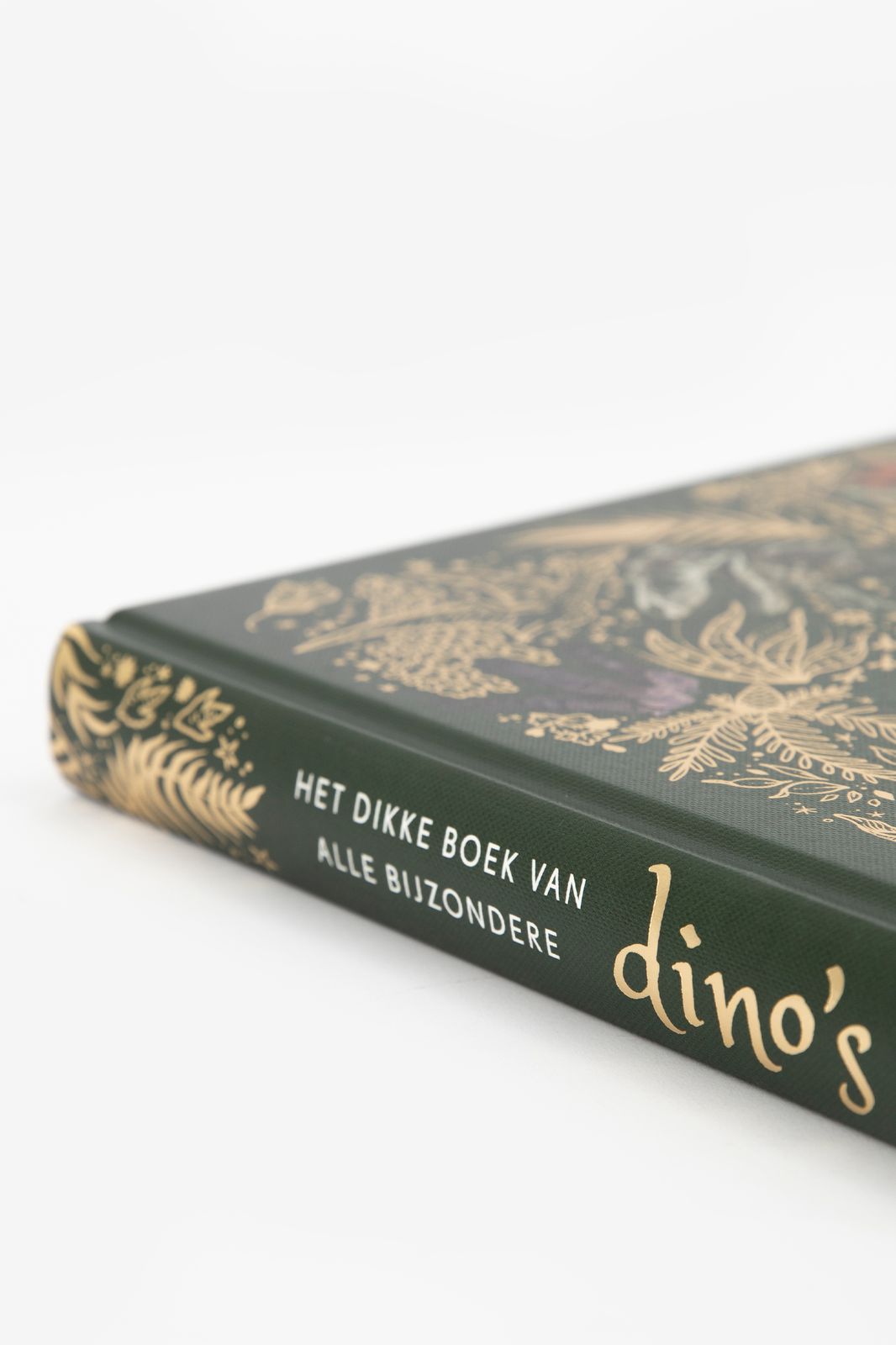 Het dikke boek van bijzondere dino's