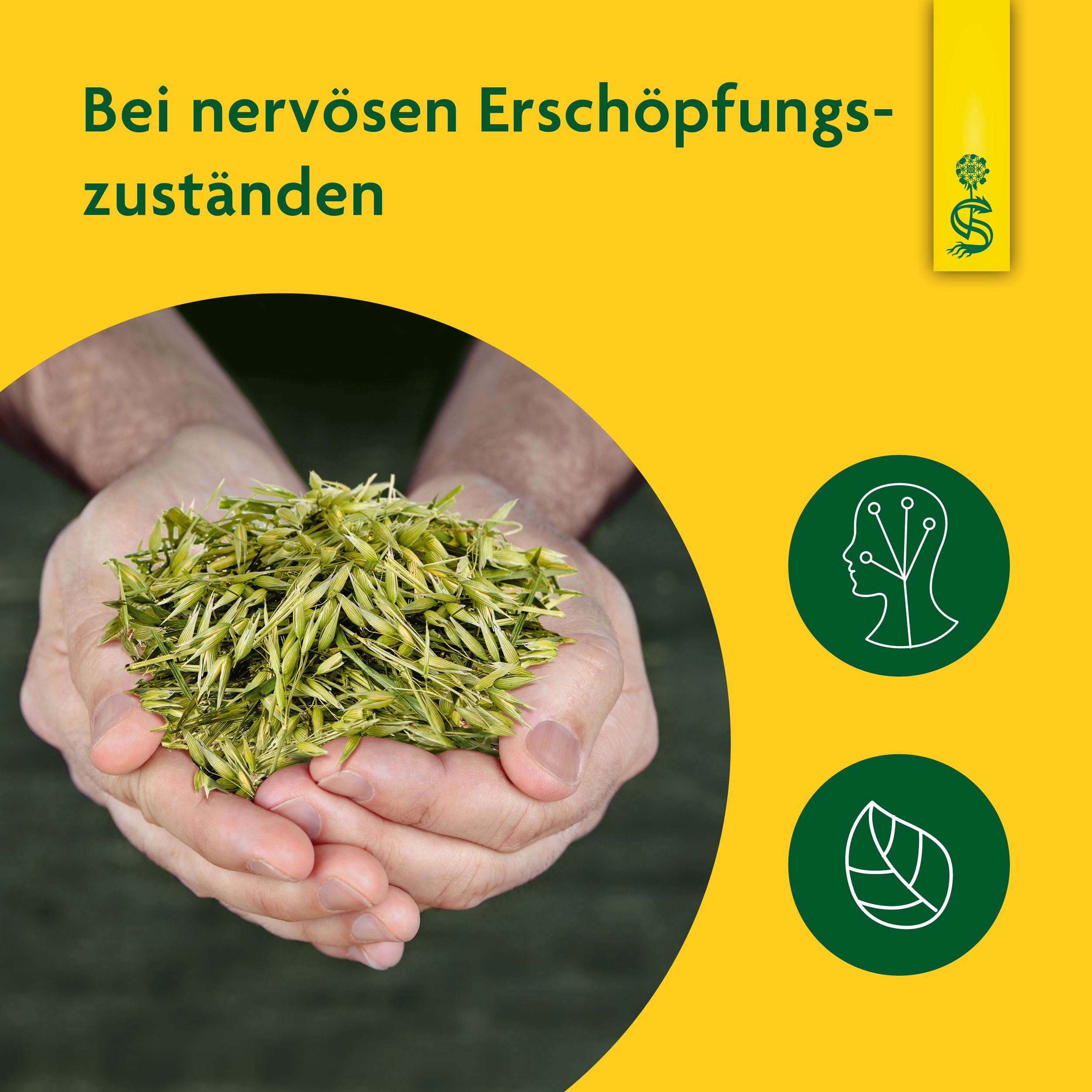 Schoenenberger® Hafer naturreiner Heilpflanzensaft Hafer