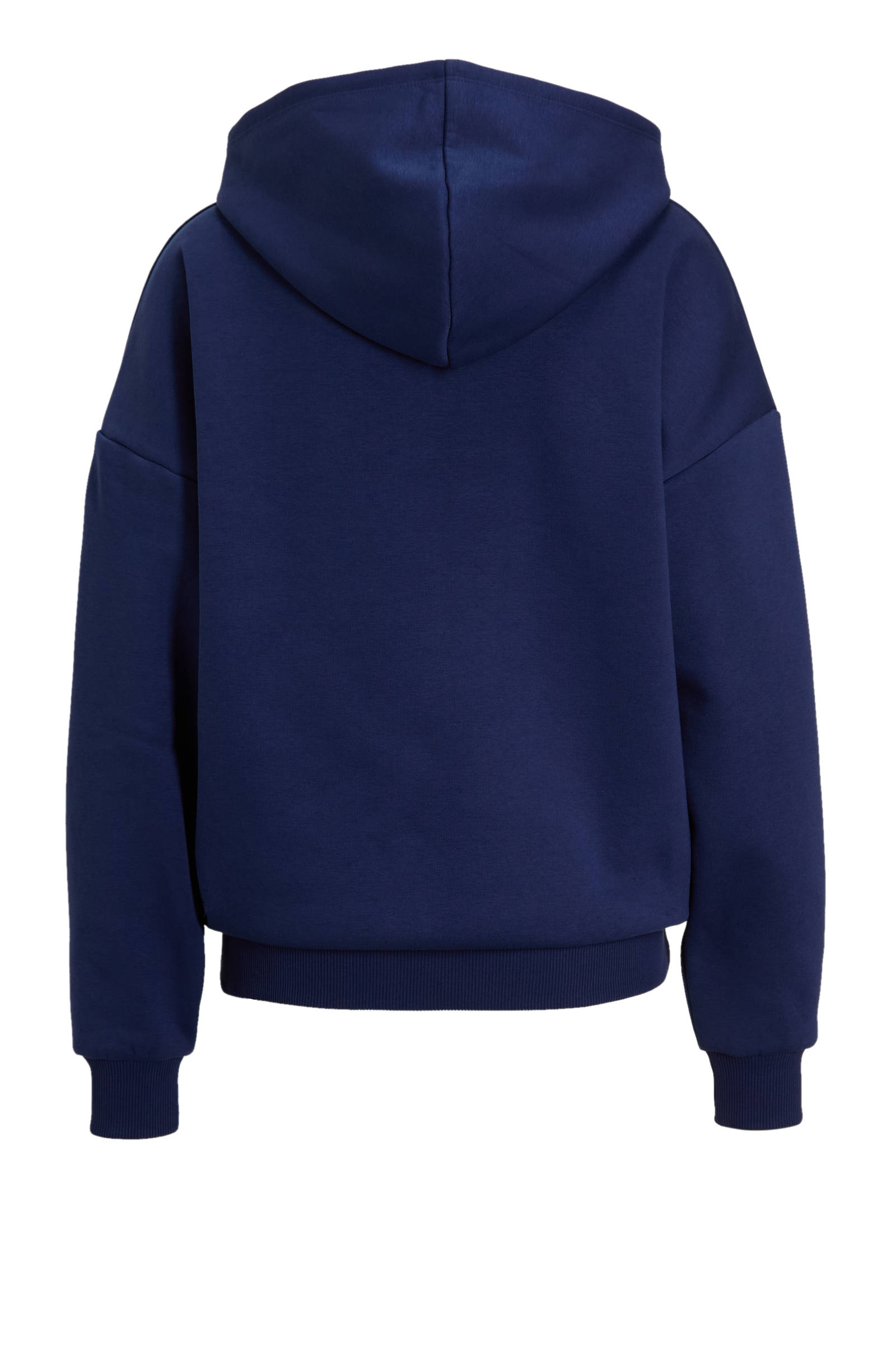 TheJoggConcept hoodie JCSAGE blauw