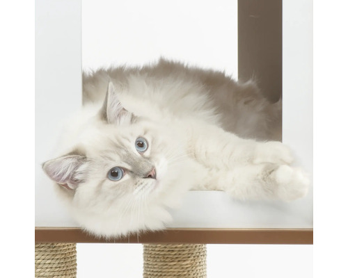 Vervangend kussen voor de Catit Vesper Plush krabpaal, 34,5 x 34,5 cm. Vervangend onderdeel voor de Catit Vesper Base in walnoot en zwart, en de Vesper High Base in walnoot.