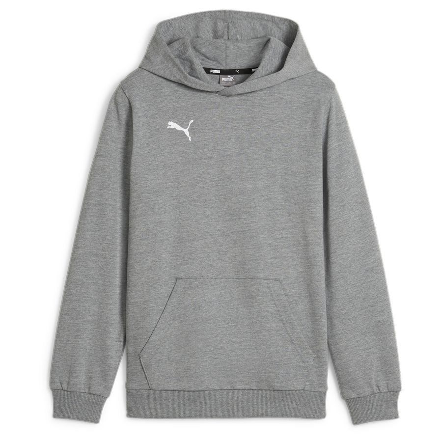 PUMA Sweat à Capuche teamGOAL Casuals - Gris Enfant