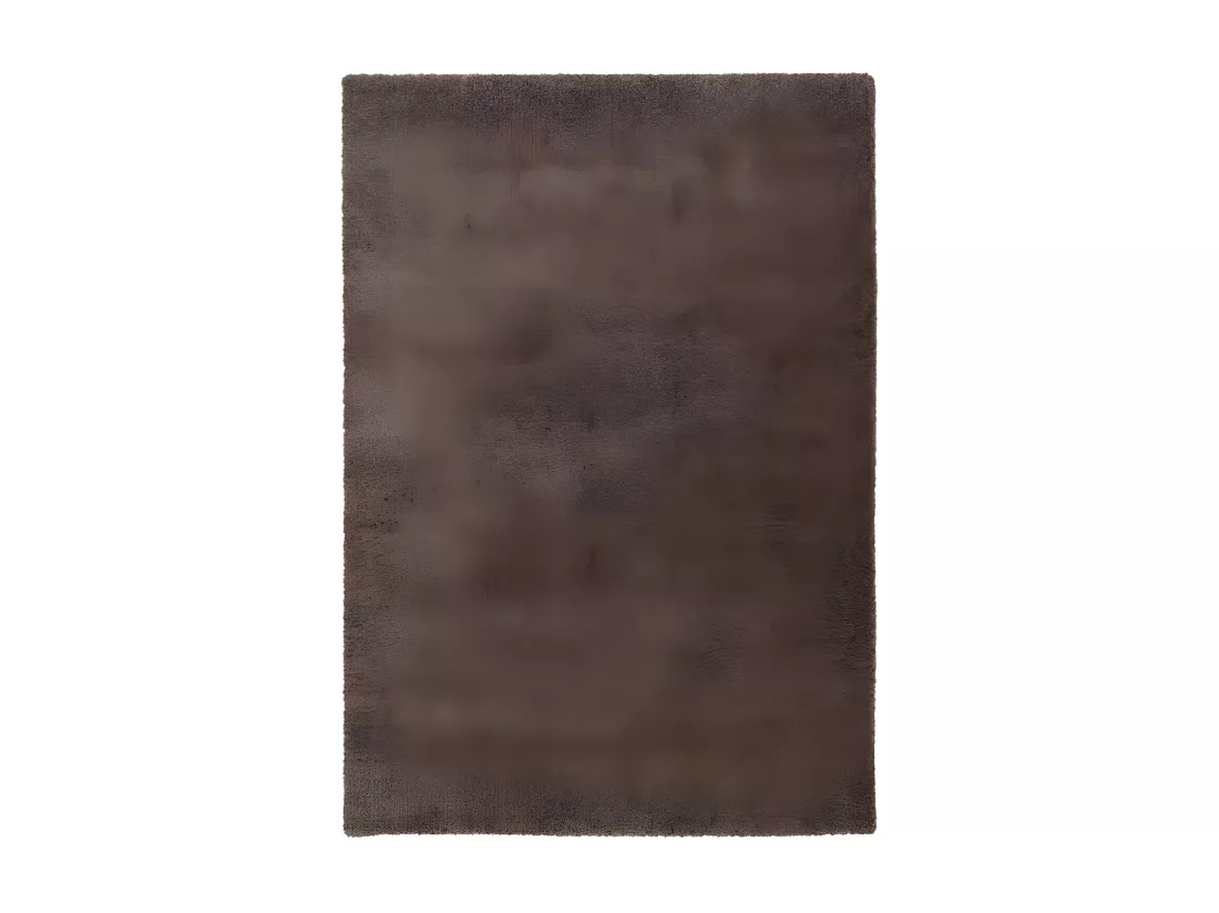 Tapis 290x200cm, design D005M coloris taupe - Confort et élégance pour votre intérieur