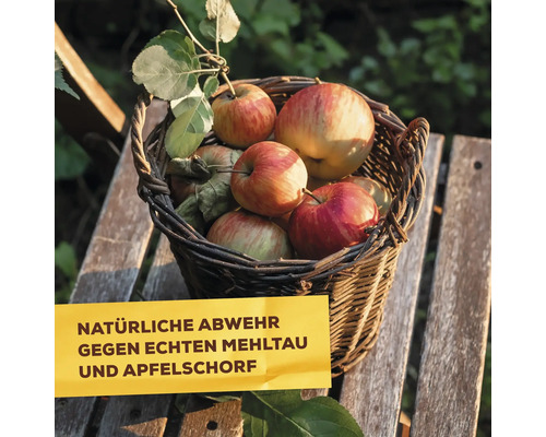 Basis ingrediënt natriumbicarbonaat Solabiol plantenversterker 350 g tot 100 L spuitoplossing