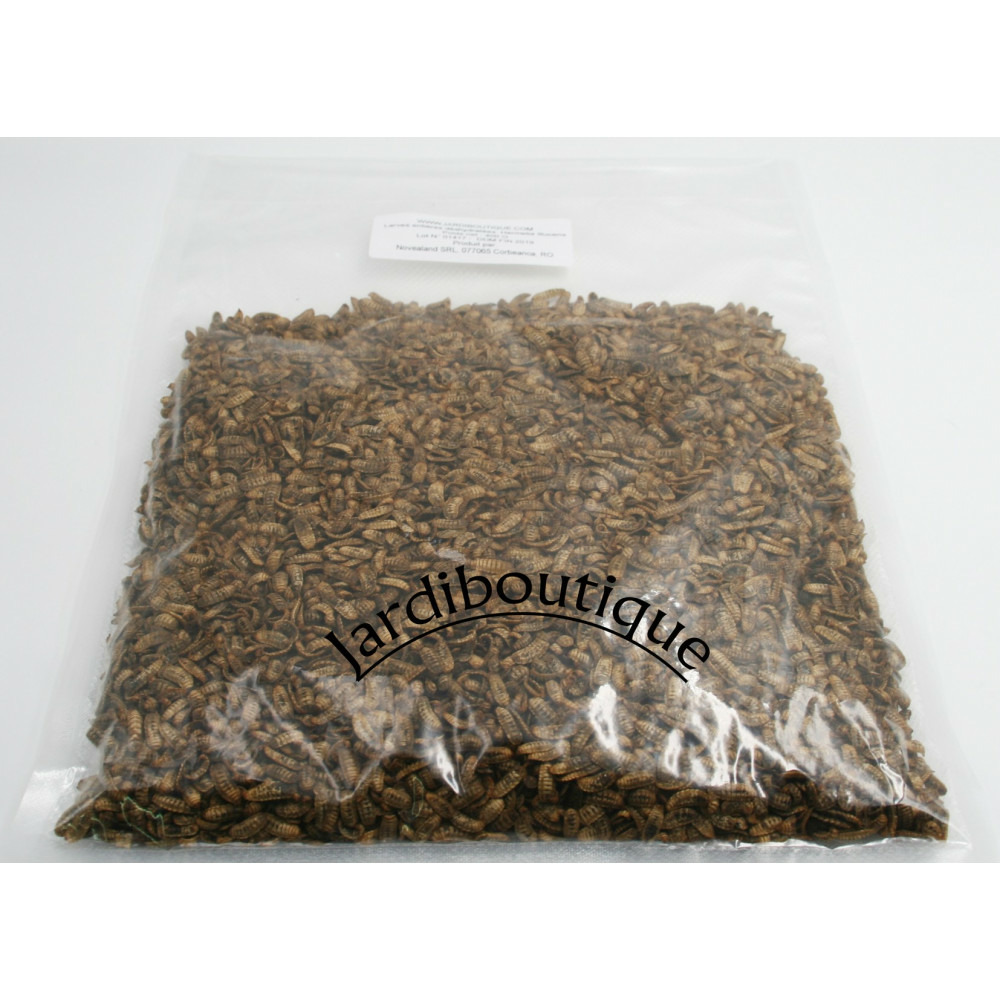 Nourriture oiseaux, poule, lézard, poisson 1 kg