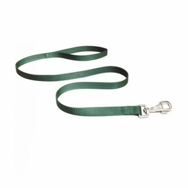 Laisse en nylon unie Club Ferplast pour chien