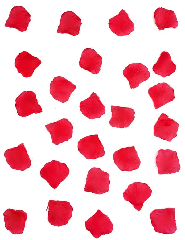 288 roseblader. Size-Standard