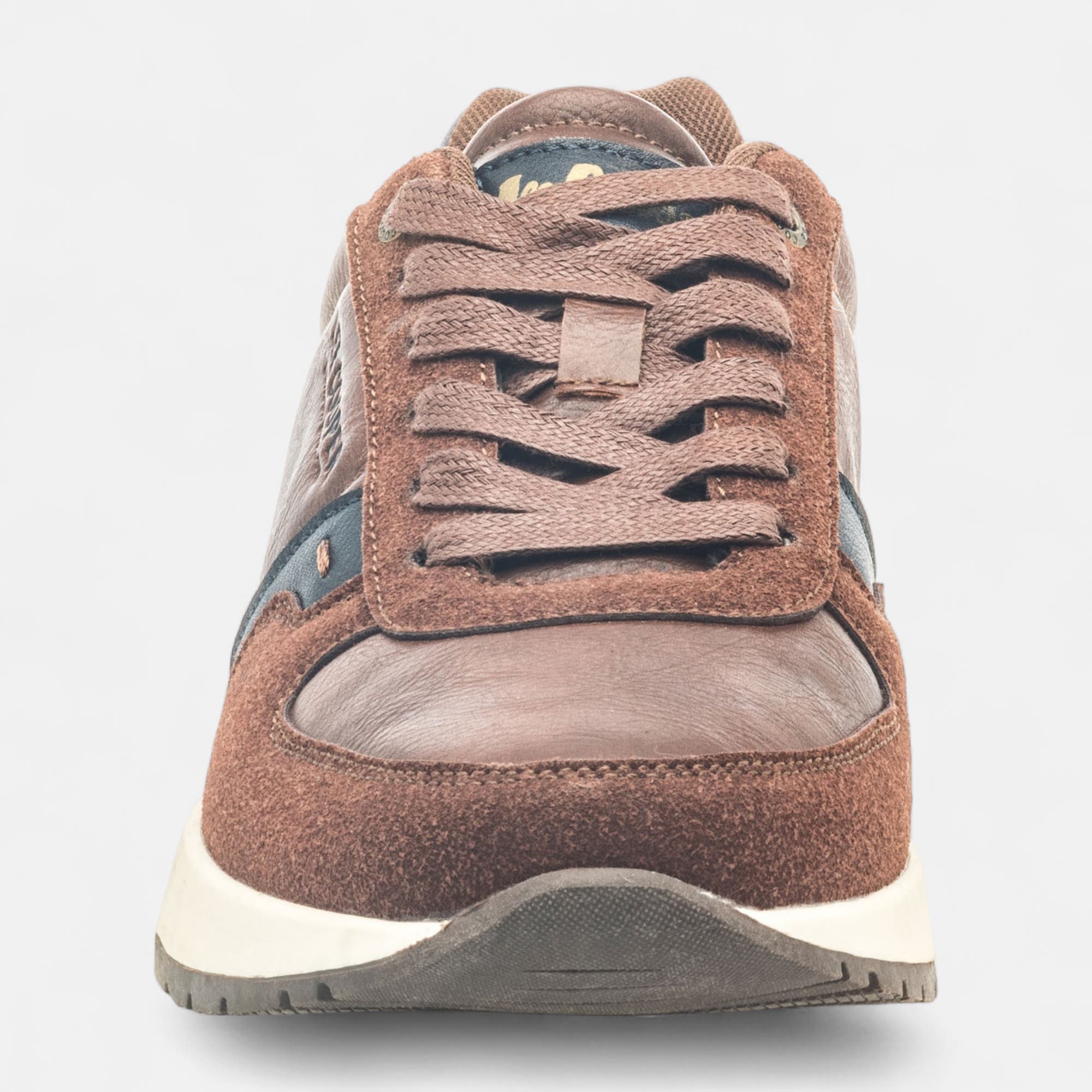 Baskets basses Homme marron