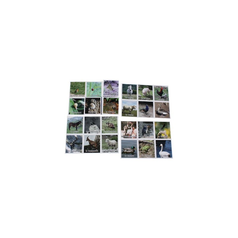Loto Nature - Les Animaux