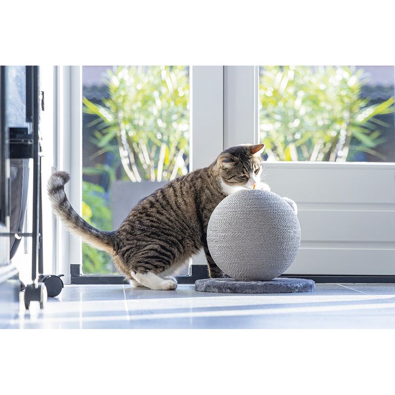 Boule à griffer Karlie Bolly