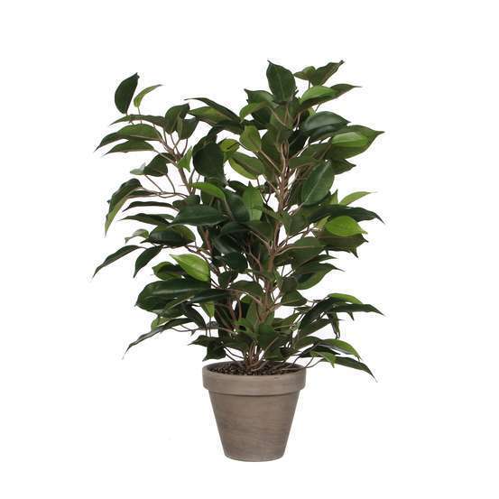 Plante artificielle : Pot Ficus Natasja D.11 x H.40 cm