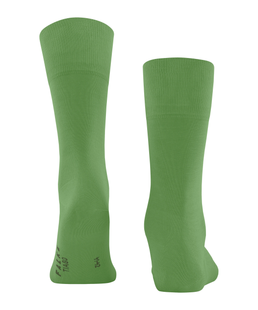 Falke Tiago SO Socken in Grün