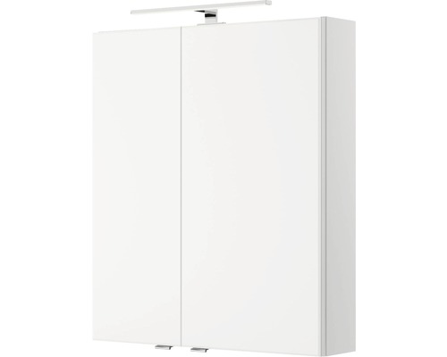 Pelipal Xpressline 4035 spiegelkast, 60 x 14,5 x 70,3 cm, wit, 2-deurs, LED, IP44