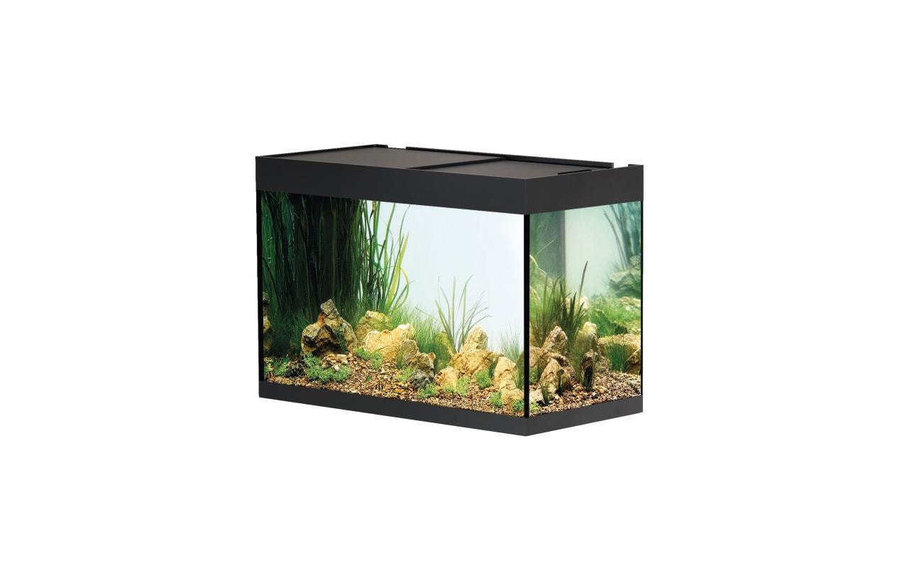 Aquarium StyleLine 175, 160 l, Schwarz<br>Hochwertiges StyleLine Aquarium aus Sicherheits-Floatglas mit geschliffenen Glaskanten
