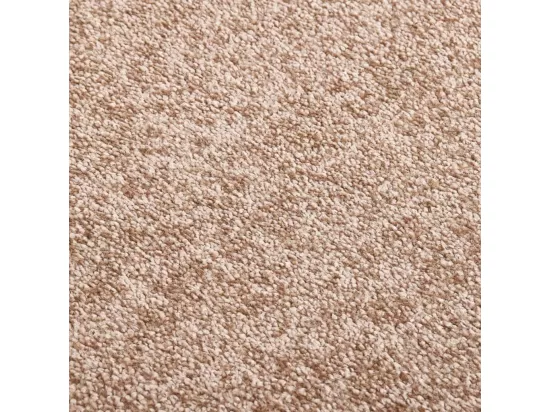 Paillasson Beige 80x120 cm