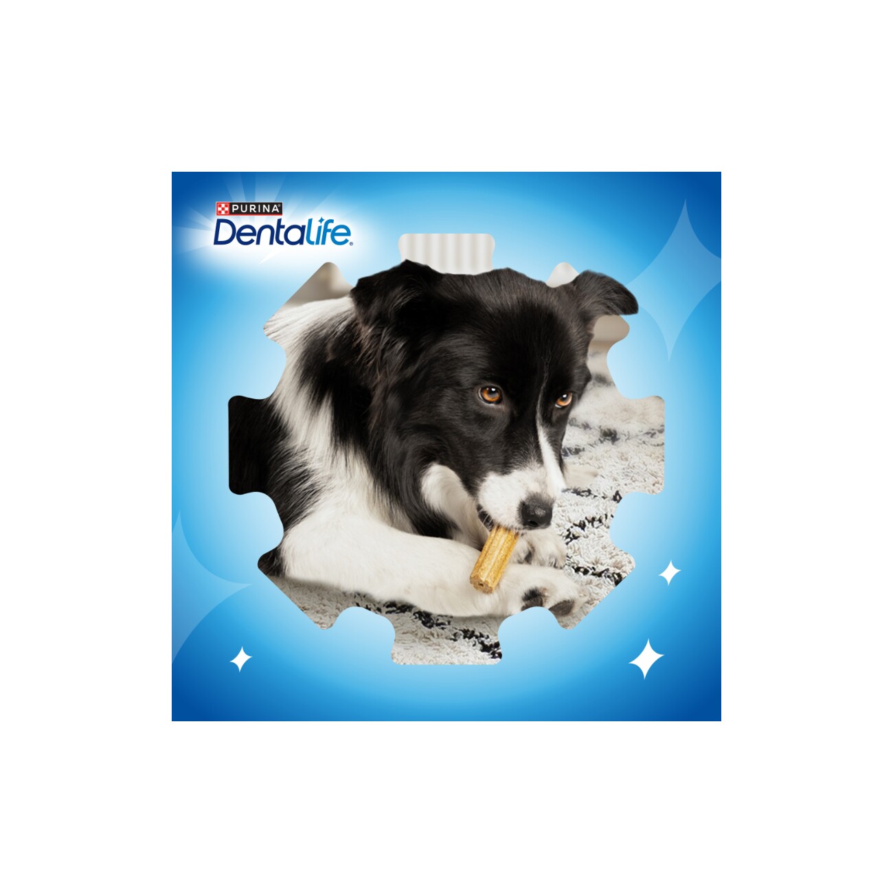 DentaLife Zahnpflege-Snacks Multipack Maxi, 36x