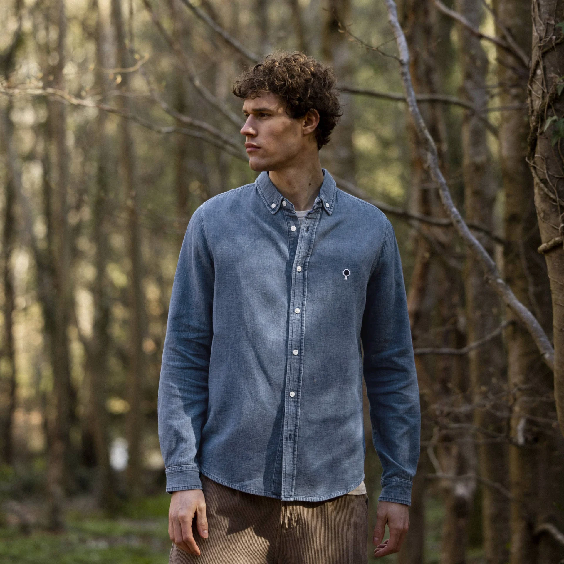 Chemise classique denim foncé coton - modèle Ivoy